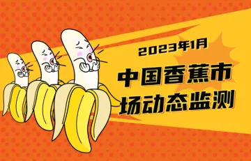 云果:中国香蕉市场动态监测(2023年1月)
