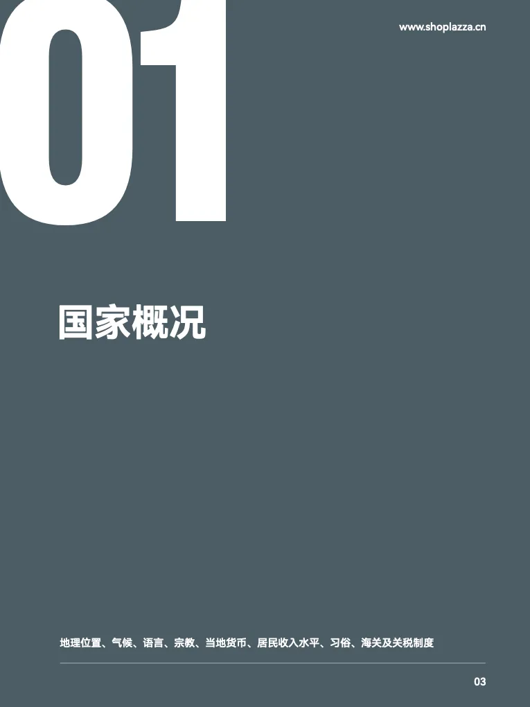 跨境蓝海拉美市场洞察-墨西哥篇 - 跨境电商报告 - 大数跨境