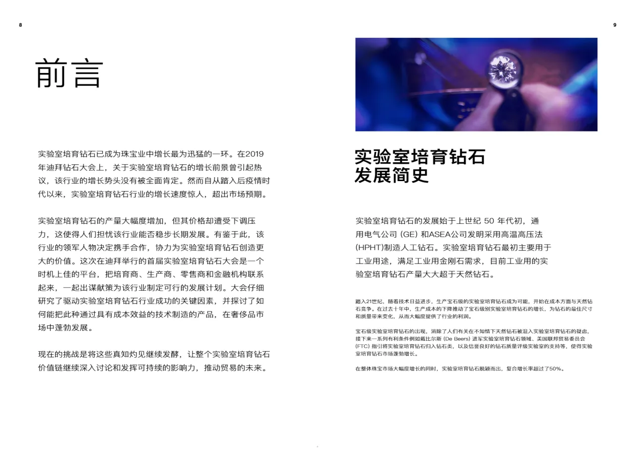 DMCC2023贸易的未来实验室培育钻石特别版15页_大数跨境