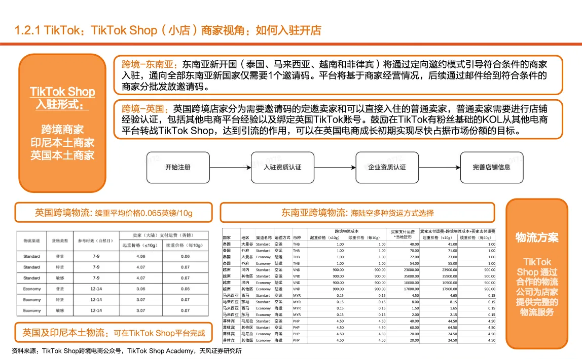 2022年国内公司海外电商布局及服务商MCN格局现状研究报告56页_大数跨境