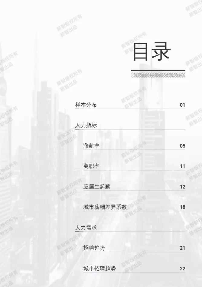 薪智2025年Q2薪智互联网行业薪酬报告59页- 大数跨境