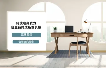 跨境电商发力，自主品牌成新增长极 - 恒林股份 - 公司研究报告