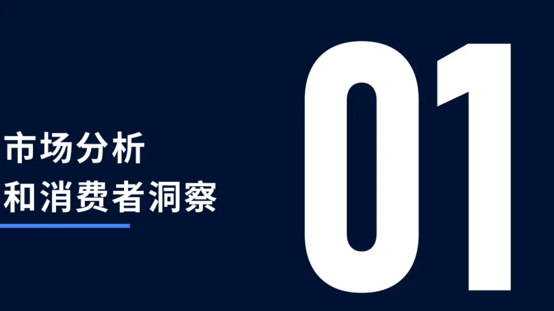 服装独立站运营增长白皮书2.0_大数跨境