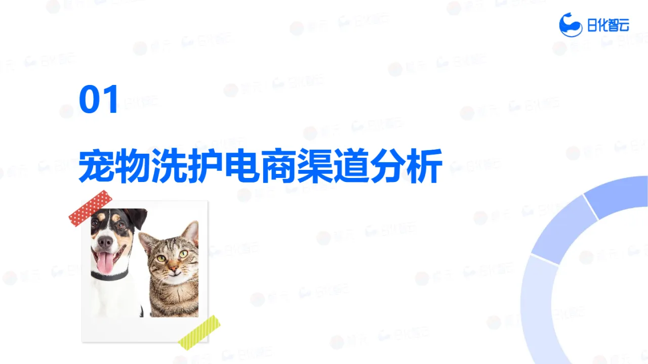日化智云2024年Q3宠物洗护品类市场分析与新品趋势洞察报告42页_大数跨境
