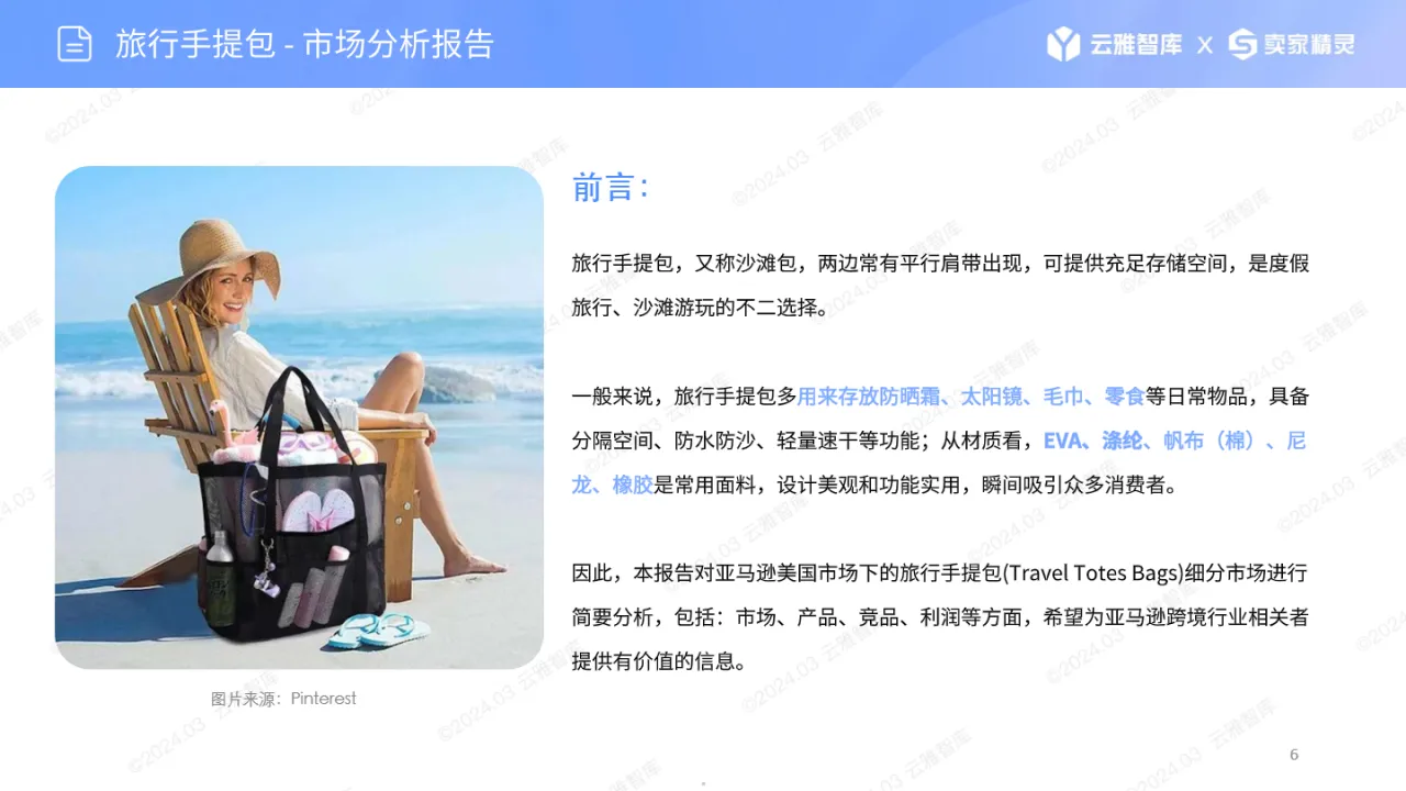2024旅行手提包市场报告_大数跨境