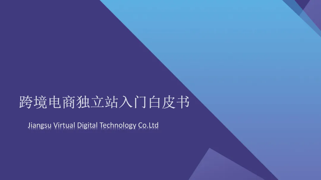 易诺:2024年跨境电商独立站入门白皮书(46页)_大数跨境