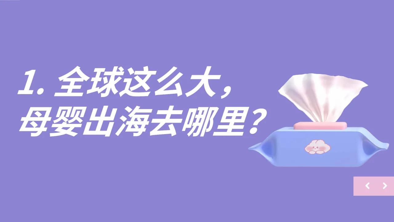 小生命、大未来：2024母婴行业出海白皮书_大数跨境