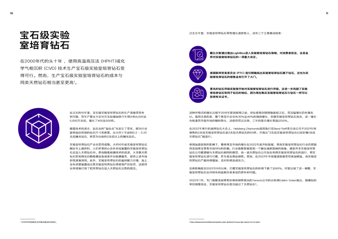 DMCC2023贸易的未来实验室培育钻石特别版15页_大数跨境