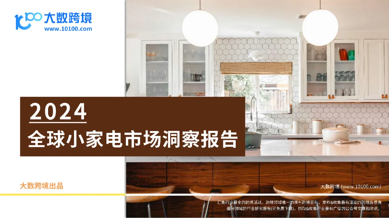 大数跨境：2024全球小家电市场洞察报告_大数跨境