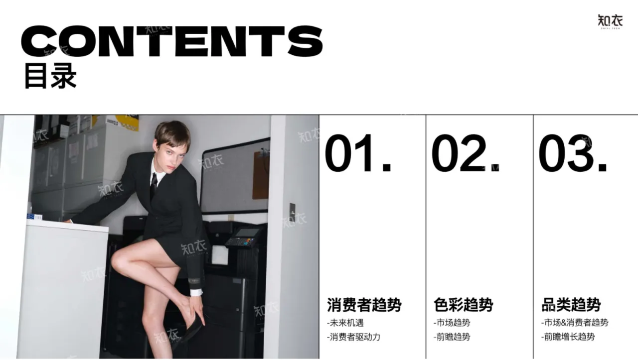 知衣科技:2025春夏跨境电商女装白皮书(32页)_大数跨境