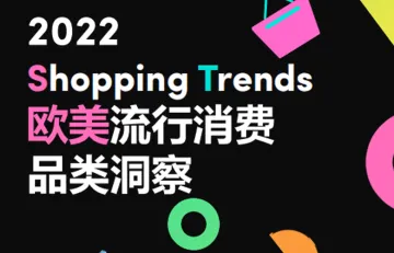 2022欧美流行消费品类洞察报告