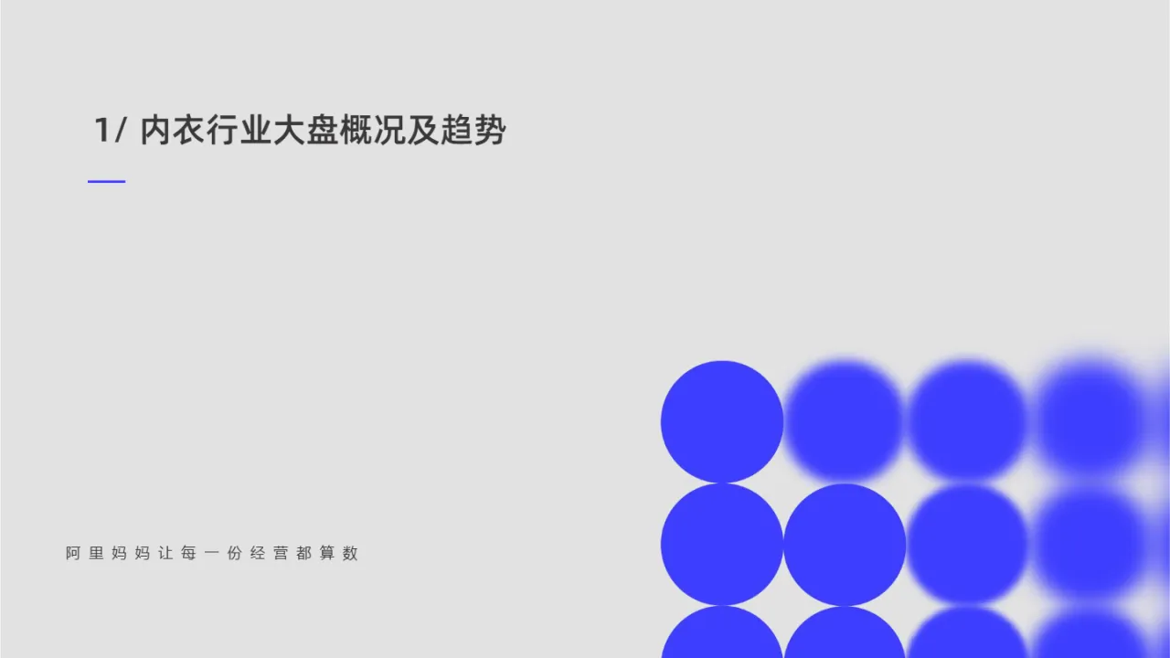 阿里妈妈2025内衣营销通案45页_大数跨境