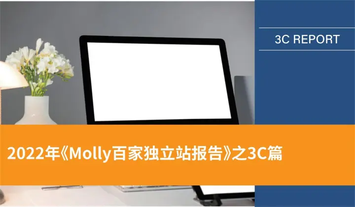 2022年《Molly百家独立站报告》之3C篇