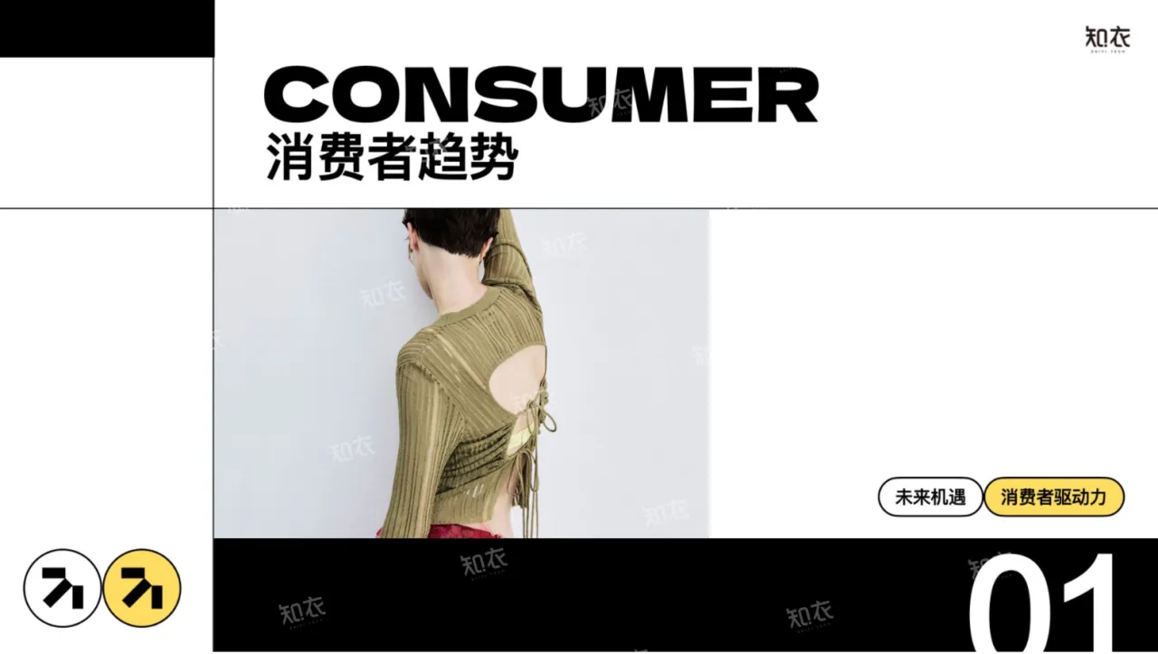 知衣科技：2025春夏跨境电商女装白皮书（32页）_大数跨境