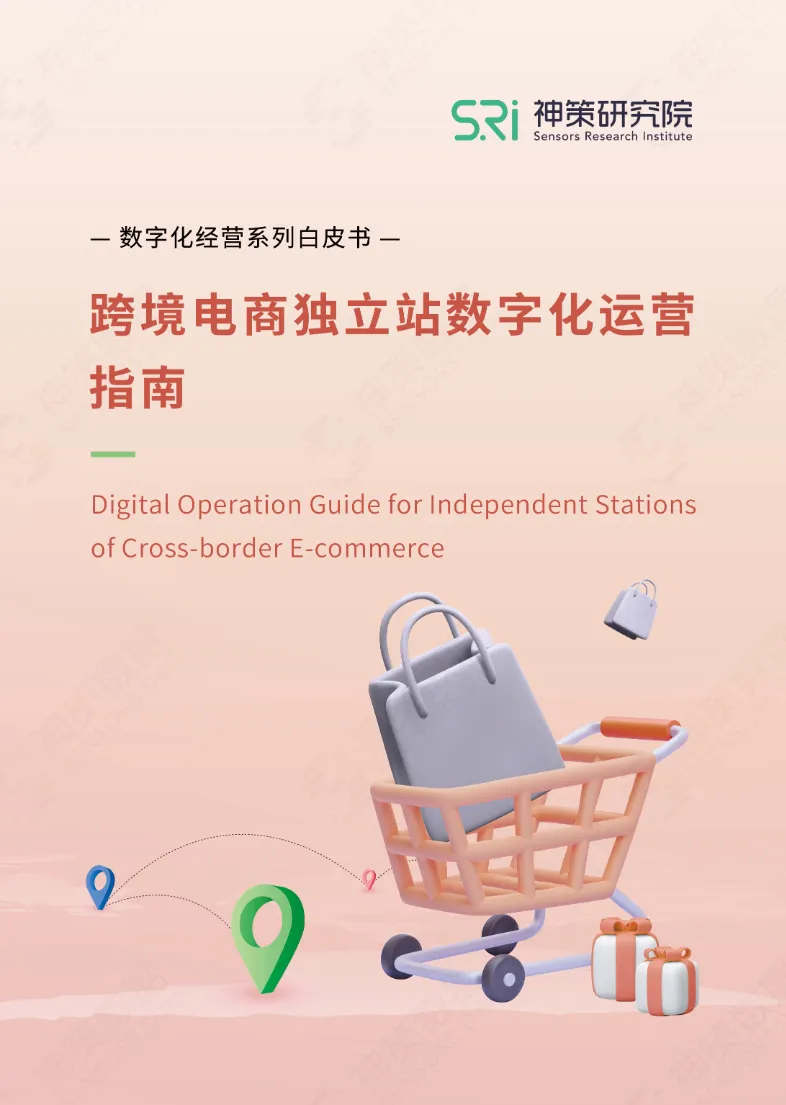 跨境电商独立站数字化运营指南2022_大数跨境