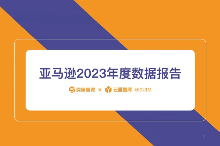 卖家精灵&<em>云</em>雅智库：亚马逊2023年度<em>数据</em>报告
