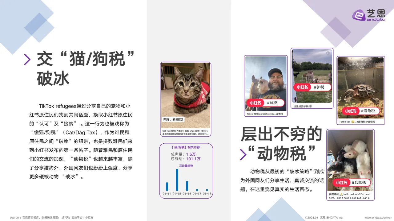 艺恩2025年TikTok用户转战小红书跨越语言与文化的社交迁徙报告12页_大数跨境