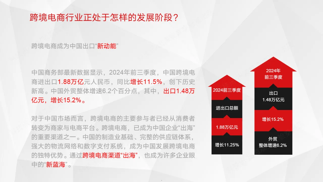 2025中国企业跨境电商行业洞察报告42页_大数跨境