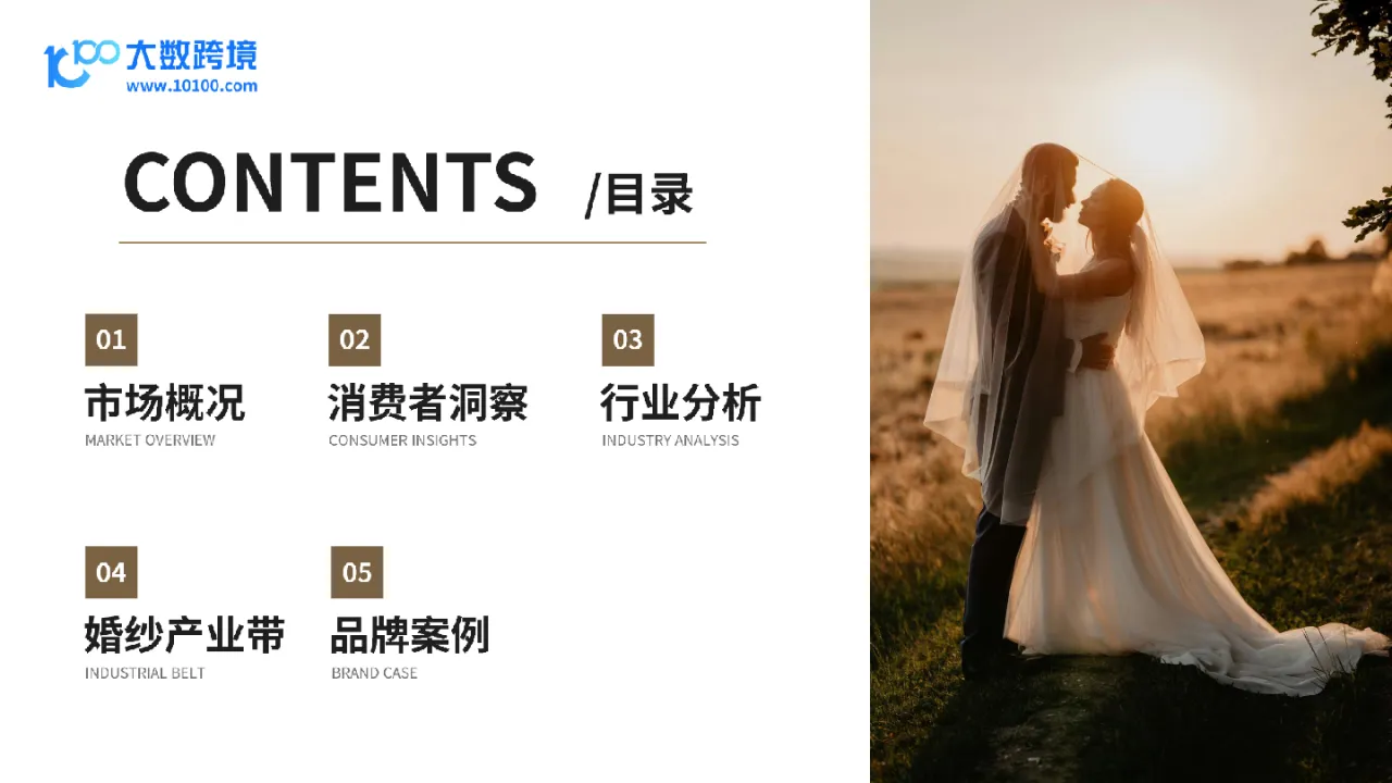 大数跨境：2024全球婚纱市场洞察报告_大数跨境