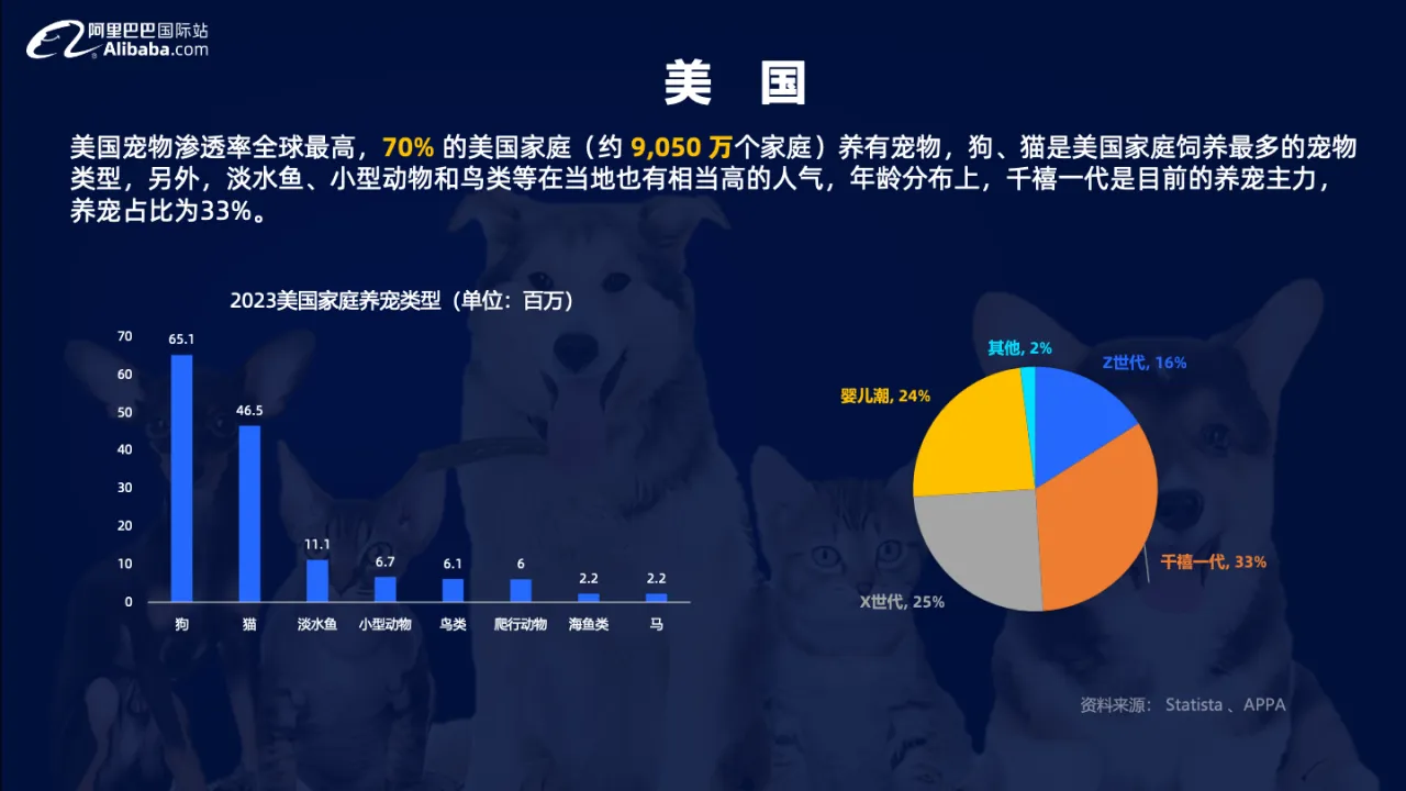2024宠物行业宠物玩具全球趋势报告_大数跨境