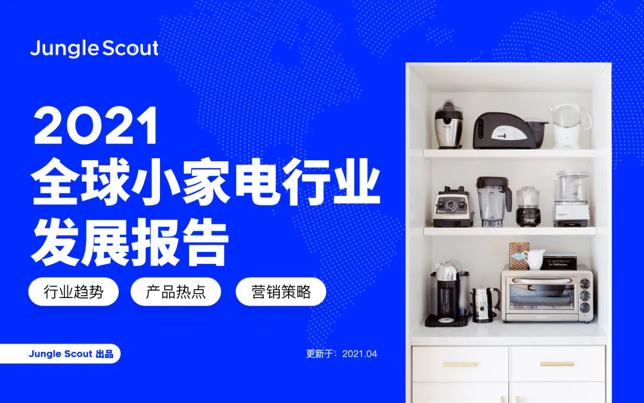 2021年全球进口报告40页_大数跨境