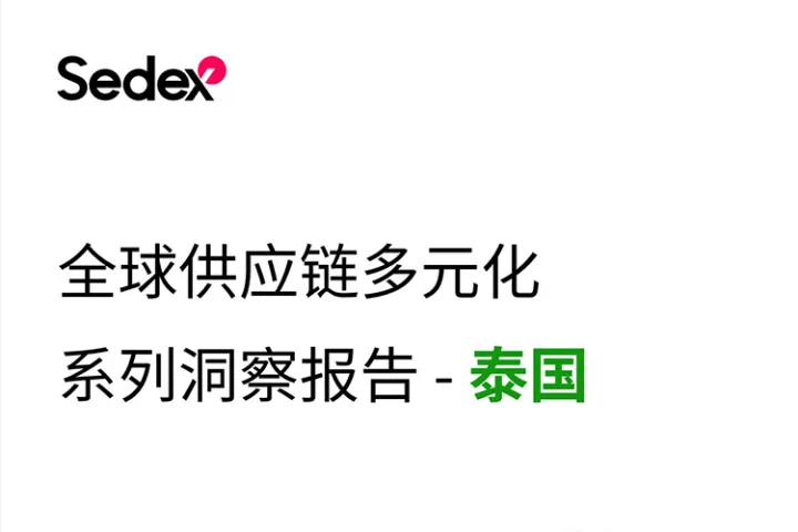 2024全球供应链多元化系列洞察报告 - 泰国