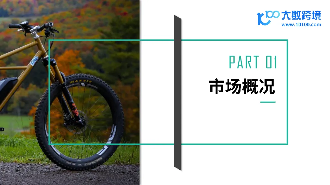 大数跨境：2024全球E-Bike市场洞察报告- 大数跨境