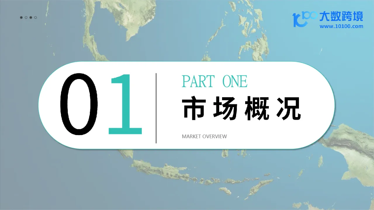 大数跨境:2024东南亚电商市场洞察报告_大数跨境
