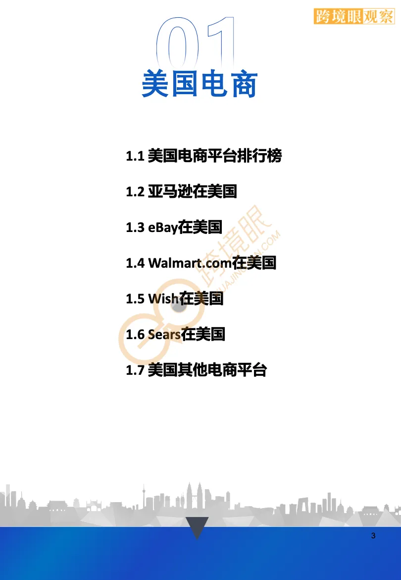 2021年跨境电商全球电商平台分析报告-跨境电商报告-大数跨境
