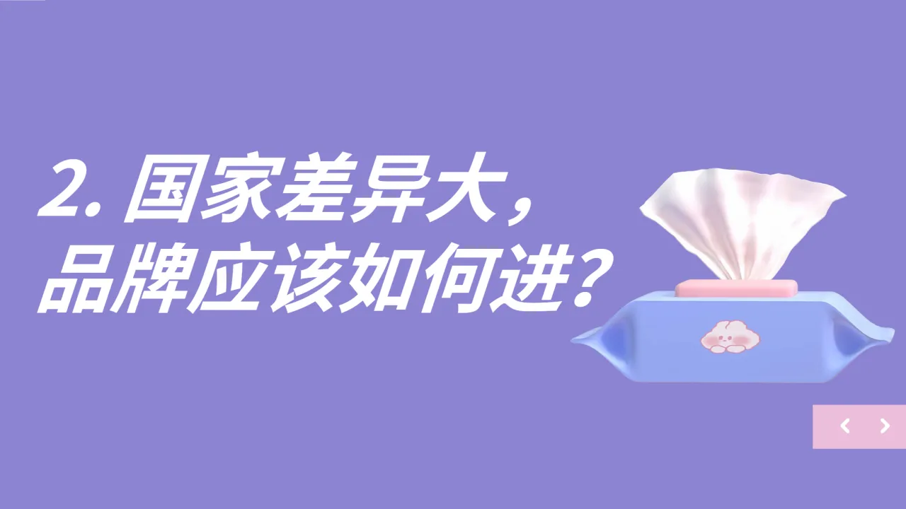 小生命、大未来：2024母婴行业出海白皮书_大数跨境