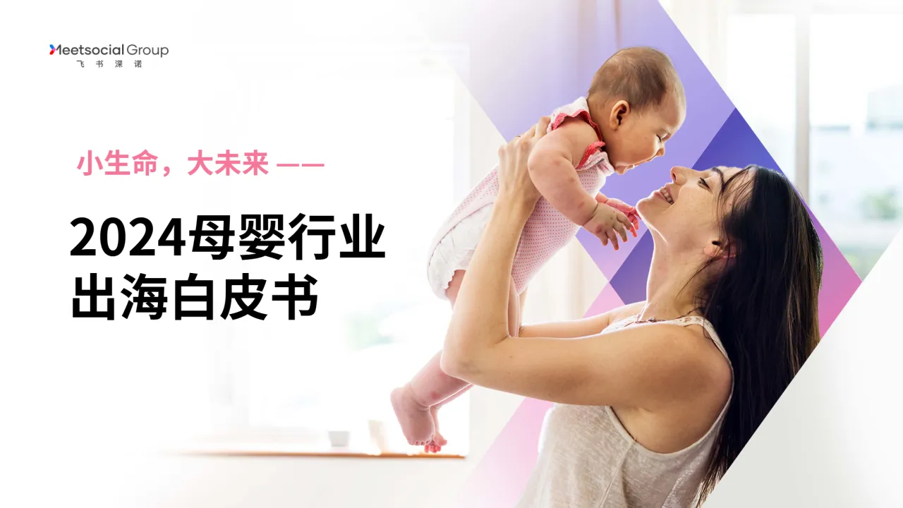 小生命、大未来：2024母婴行业出海白皮书_大数跨境