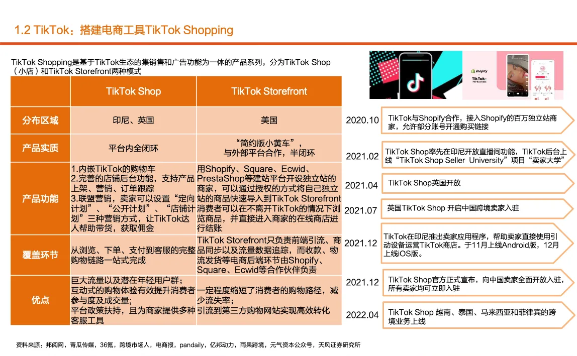 2022年国内公司海外电商布局及服务商MCN格局现状研究报告56页_大数跨境