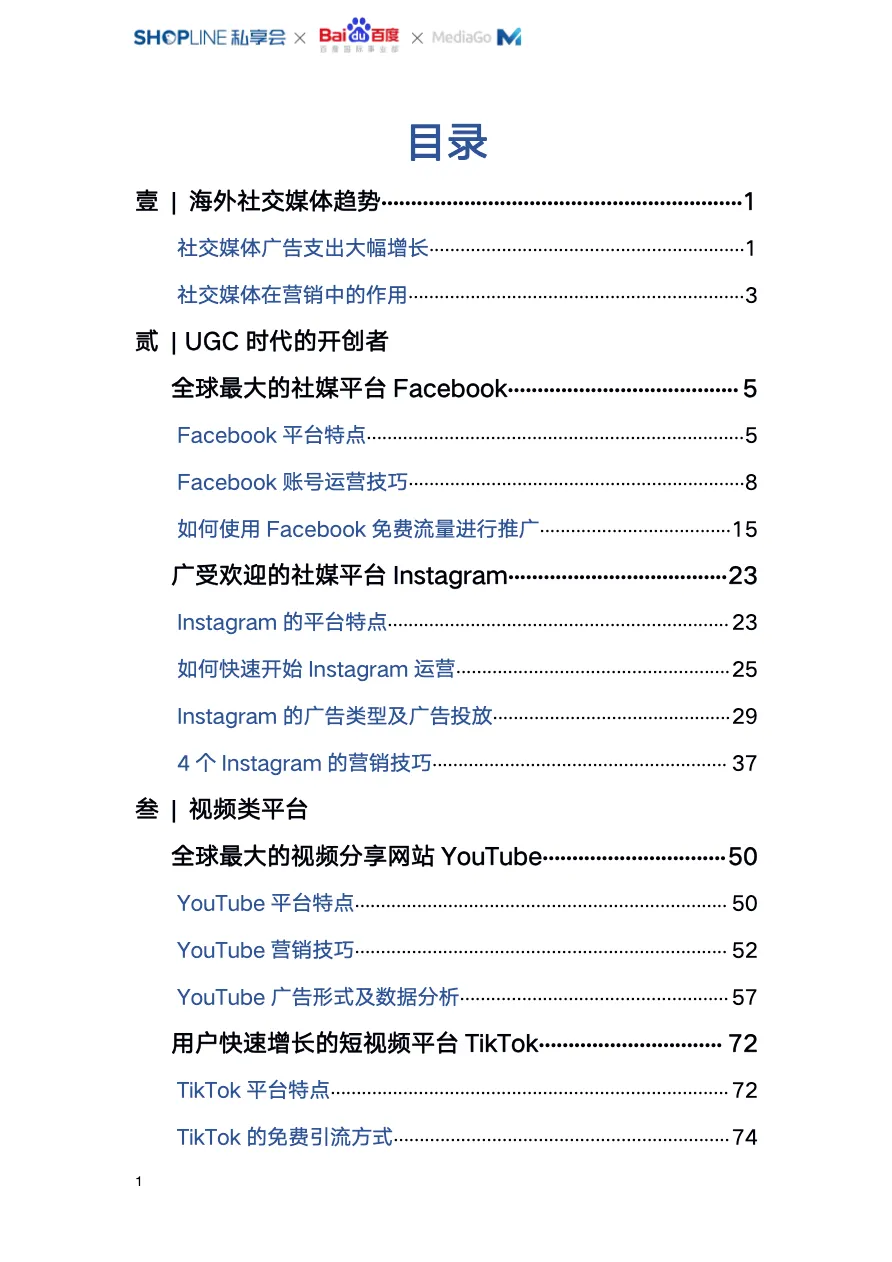 独立站海外社交媒体平台全引流攻略_大数跨境