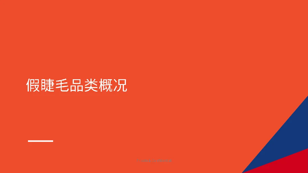 虾皮(Shopee):2025年第1季度假睫毛选品指南(19页)_大数跨境