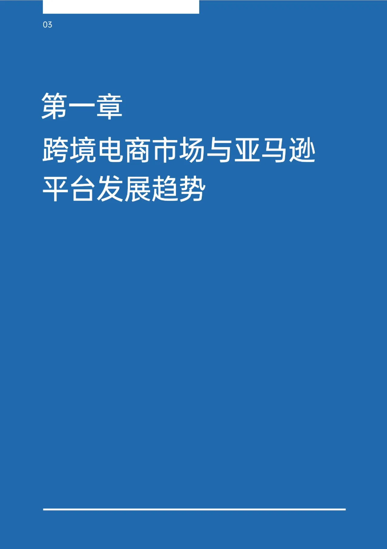 2022亚马逊独立站双轨模式出海策略报告 - 跨境电商报告 - 大数跨境