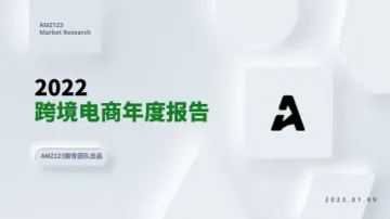 【跨境电商】2022跨境电商年度报告