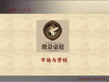 2011年六安市骏景豪庭市场与营销