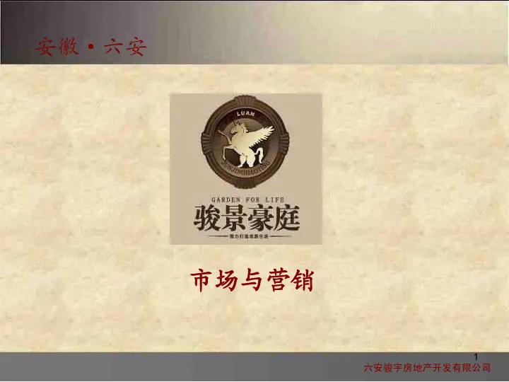 2011年六安市骏景豪庭市场与营销