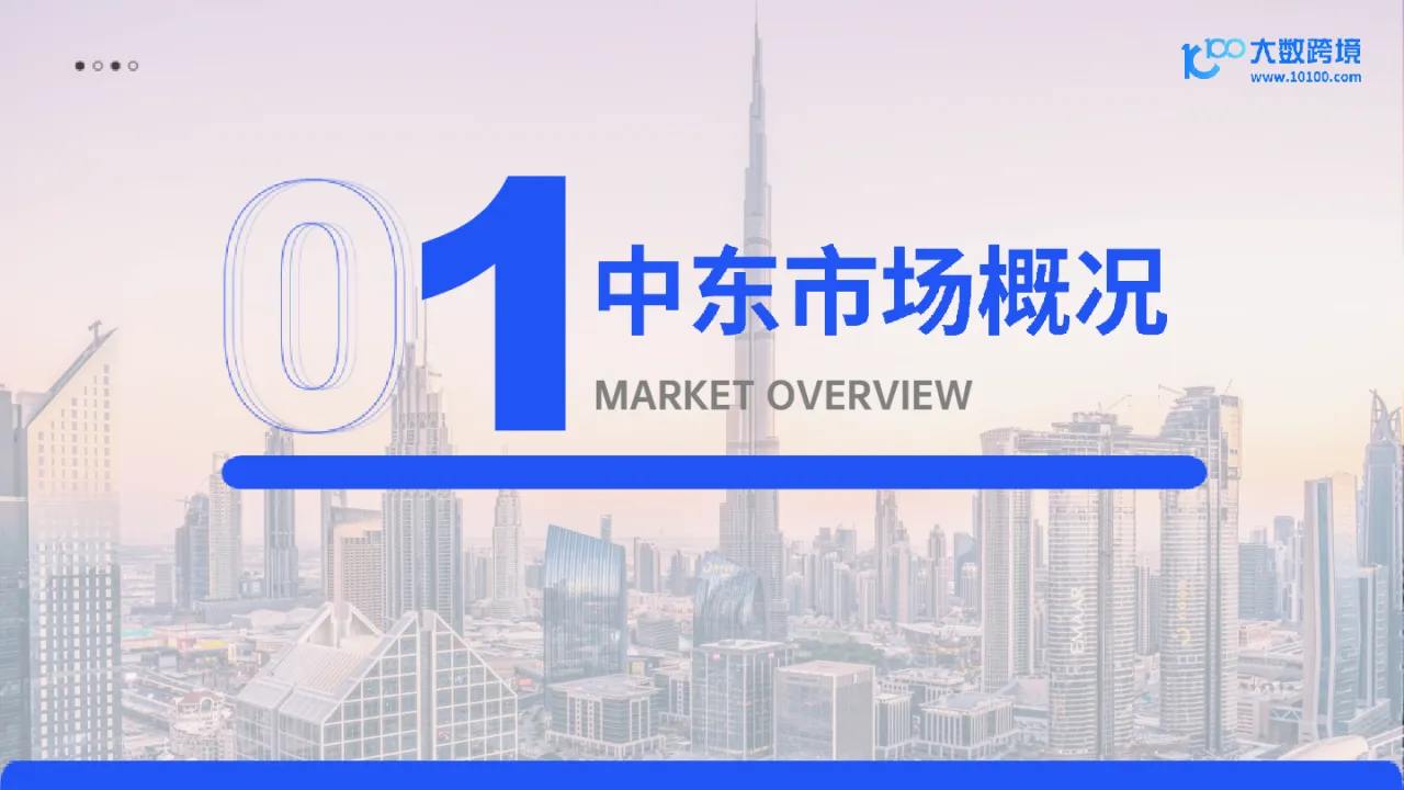 大数跨境：2024中东电商市场洞察报告_大数跨境