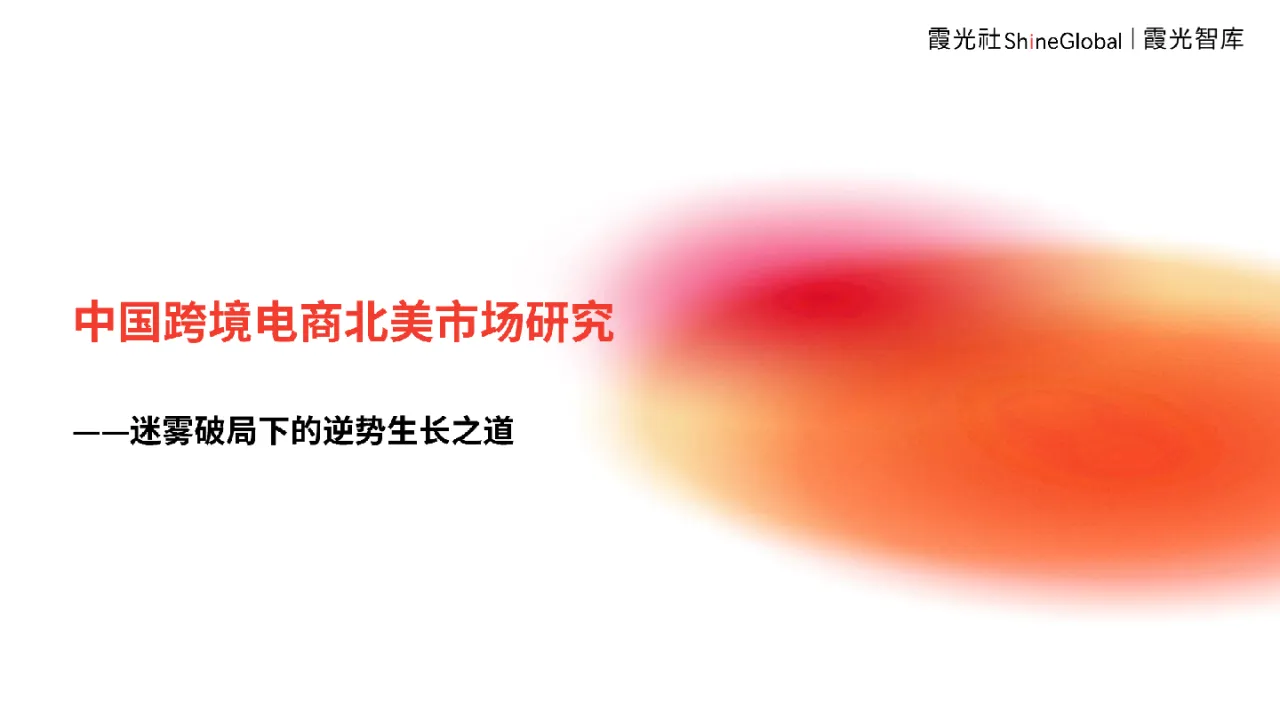 2024中国跨境电商北美市场研究报告_大数跨境