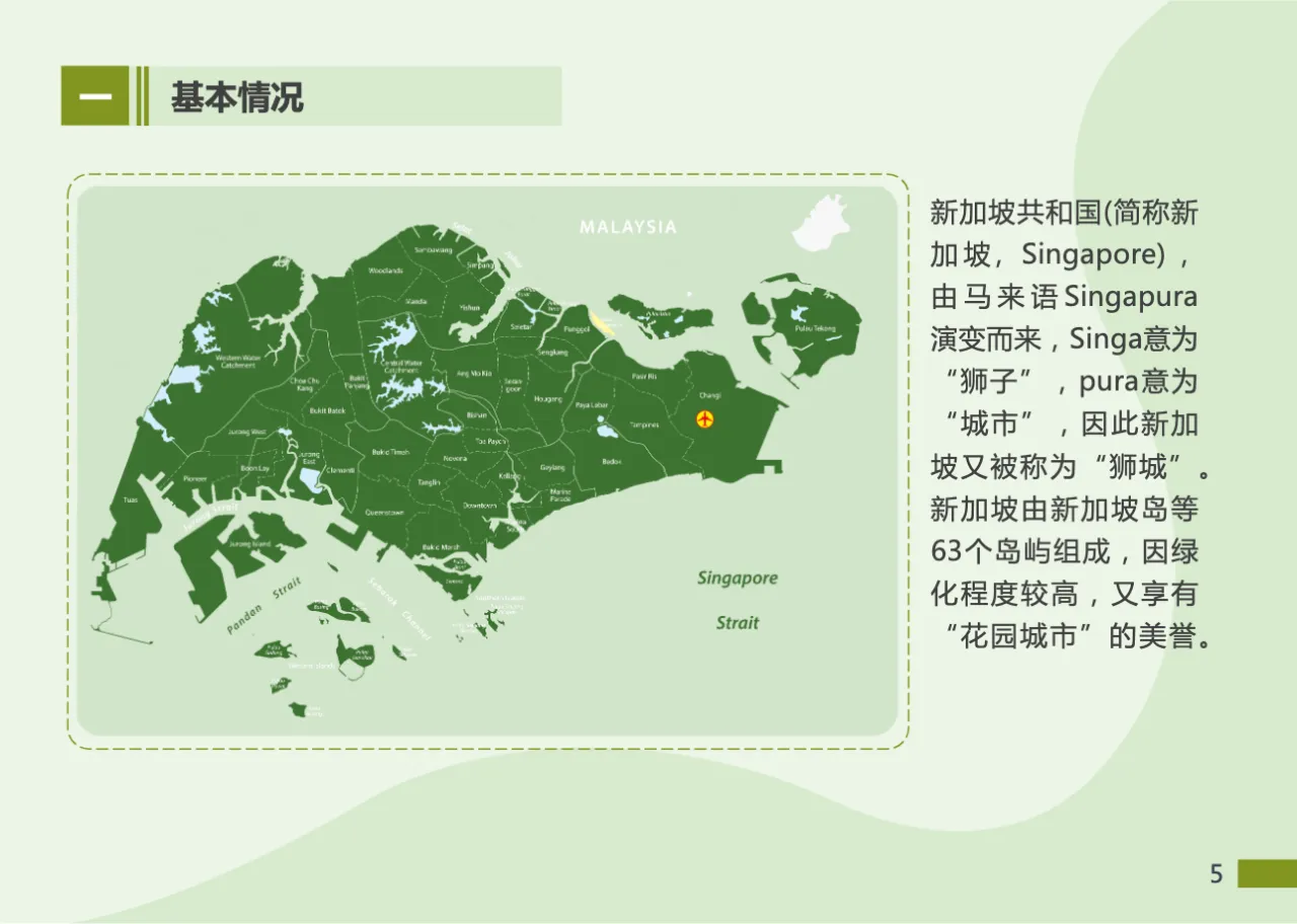 2023东南亚出海指南-新加坡篇 - 跨境电商报告 - 大数跨境 