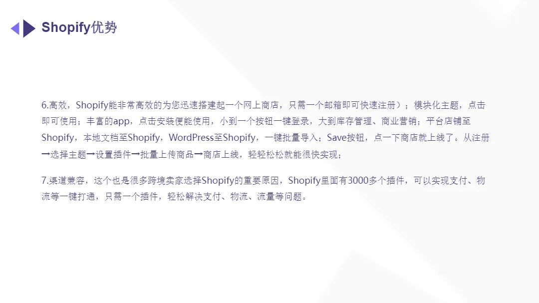 易诺：2024年跨境电商独立站入门白皮书（46页）_大数跨境