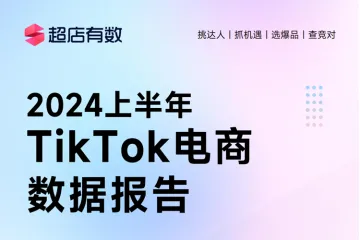 2024年上半年TikTok电商数据报告