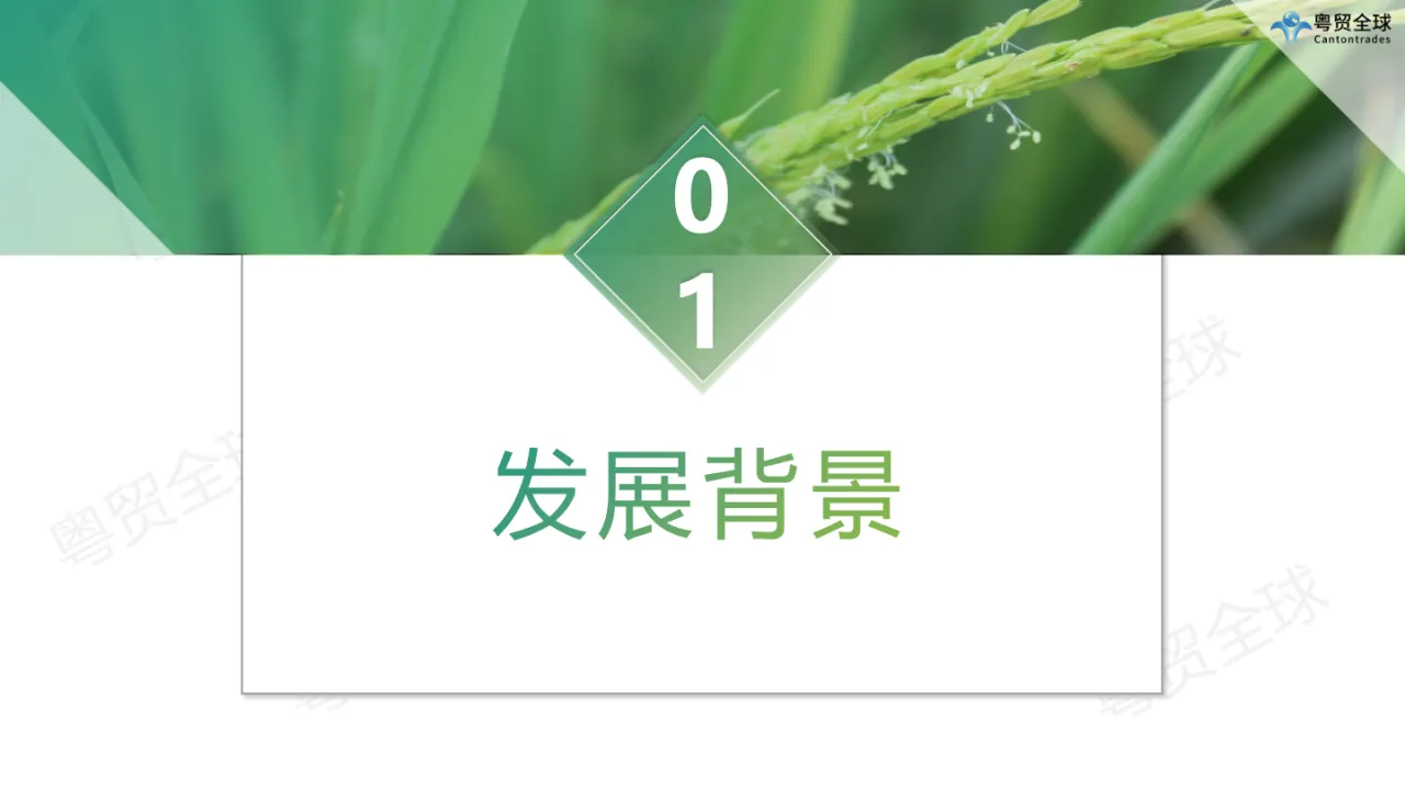2023中国农产品跨境出海调研报告 - 跨境电商报告 - 大数跨境