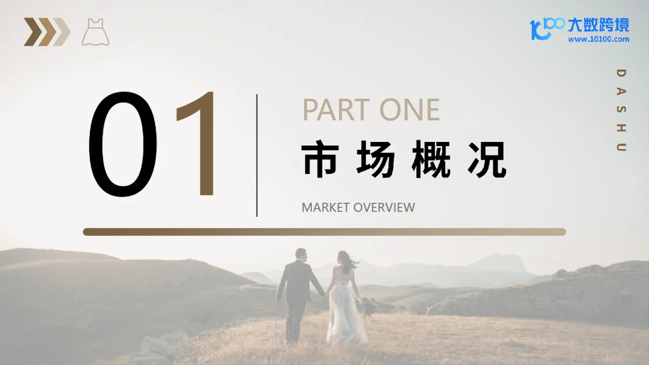 大数跨境:2024全球婚纱市场洞察报告_大数跨境