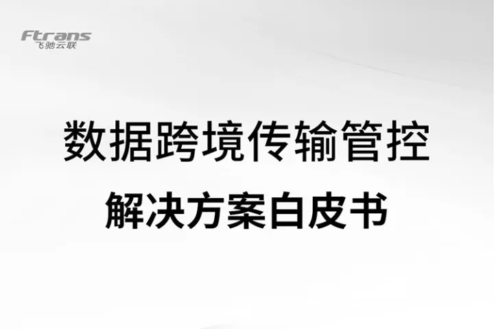 2024数据跨境传输管控解决方案白皮书