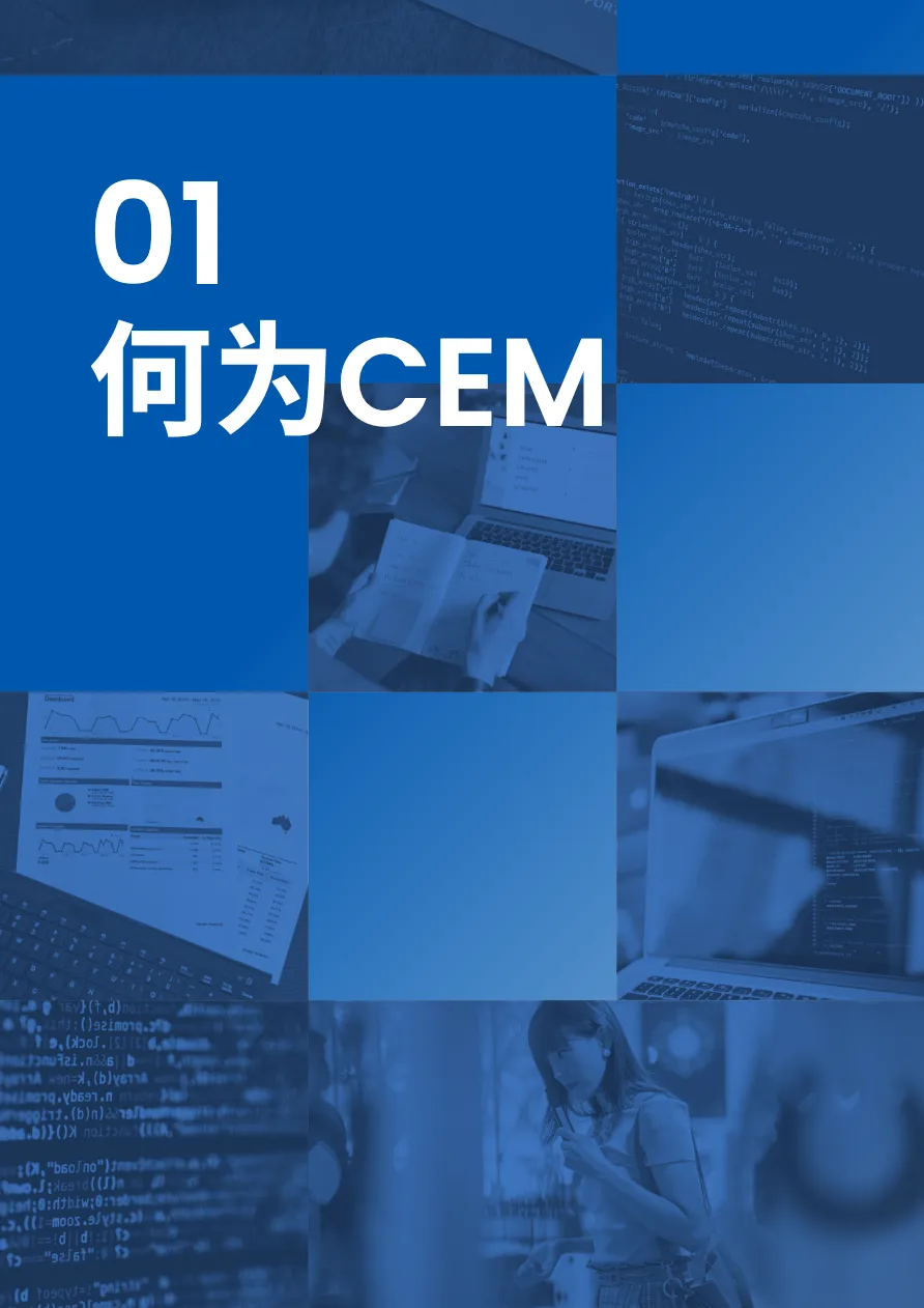 海内外CEM软件研究白皮书_大数跨境