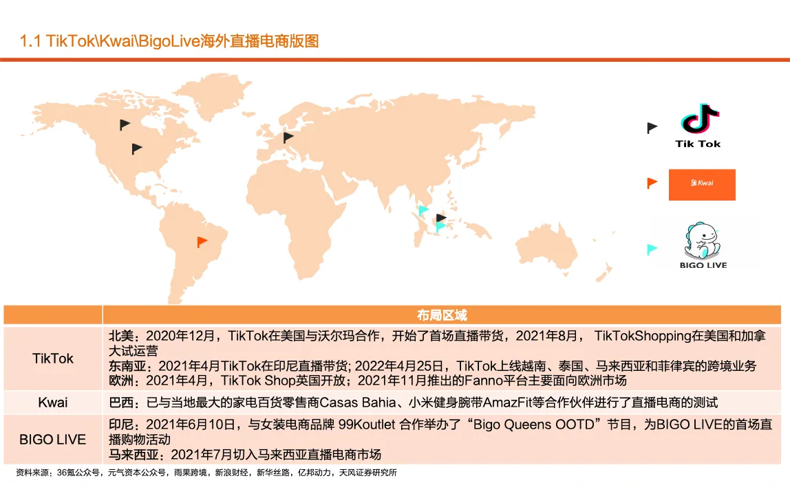 2022年国内公司海外电商布局及服务商MCN格局现状研究报告56页_大数跨境