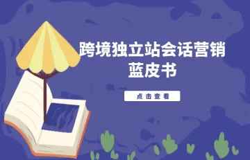 2022年独立站会话营销蓝皮书