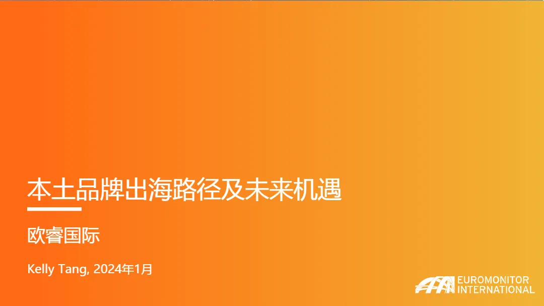 2024年本土品牌出海路径及未来机遇报告_大数跨境